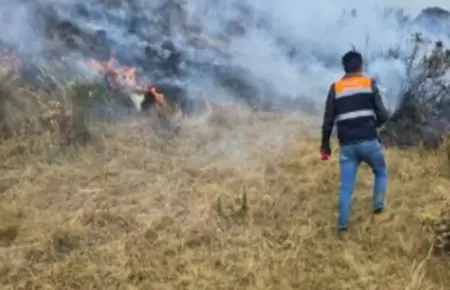 Extinguen incendios forestales originados el ltimo fin de semana de agosto.