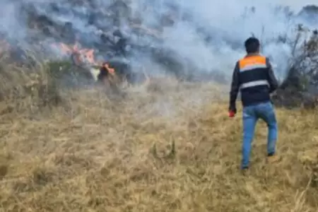 Extinguen incendios forestales originados el ltimo fin de semana de agosto.