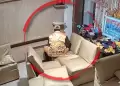 Lince: Familia reduce a ladrn y lo entrega a la PNP tras encontrarlo robando dentro de su vivienda