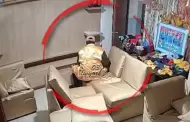 Lince: Familia reduce a ladrn y lo entrega a la PNP tras encontrarlo robando dentro de su vivienda