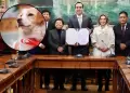 Congreso: Firman autgrafa de ley que reconoce al perro pastor Chiribaya como Patrimonio Cultural de la Nacin