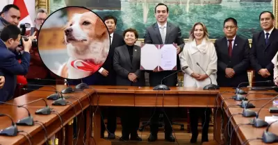 Firma de autógrafa de ley.