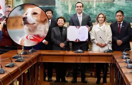 Firma de autgrafa de ley.