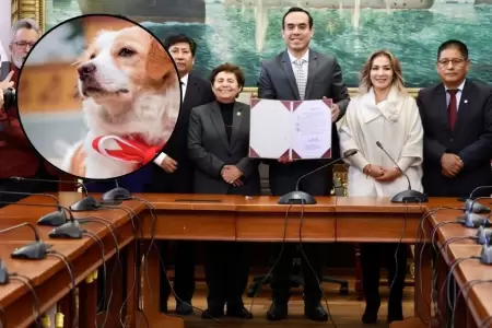 Firma de autgrafa de ley.