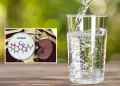 Bebes poca agua? Estudio revela que la deshidratacin eleva el cortisol y aumenta el estrs