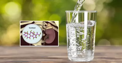 ¿Bebes poca agua? Estudio revela que la deshidratación eleva el cortisol y aumen