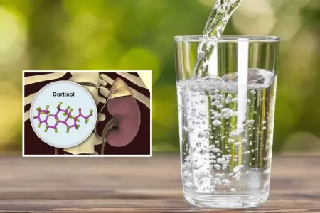 Bebes poca agua? Estudio revela que la deshidratacin eleva el cortisol y aumen