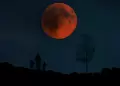'Luna de Sangre' en septiembre: Da y dnde se podr ver este nico fenmeno astronmico