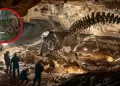 Descubren en Australia al megaraptorido ms antiguo del mundo: Este hallazgo podra reescribir la historia evolutiva
