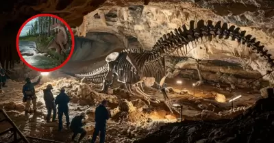 Los restos corresponden a una de las especies más antiguas del mundo.