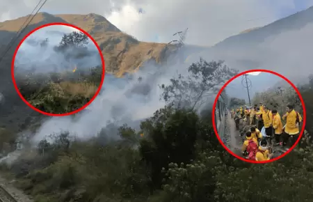 Cusco: Incendio forestal se registra en el sector Pacaymayo Bajo del Parque Arqu