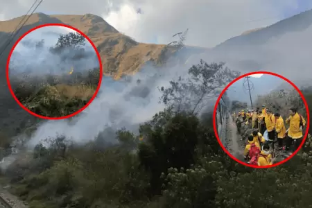 Cusco: Incendio forestal se registra en el sector Pacaymayo Bajo del Parque Arqu