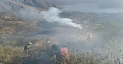 Extinguen incendios forestales Arequipa, Puno, Madre de Dios y Huánuco.