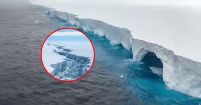 El iceberg A23a, que llegó a ser el más grande del mundo, se derrite: Científico