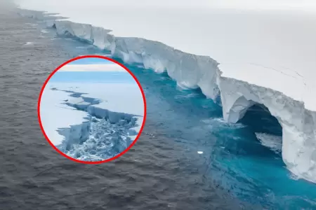 El iceberg A23a, que lleg a ser el ms grande del mundo, se derrite: Cientfico