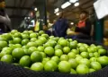 Piura: Precio del limn se estabilizara en el mes de octubre, segn el economista David Herrera