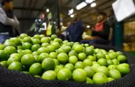 Piura: Precio del limn se estabilizara en el mes de octubre, segn el economista David Herrera
