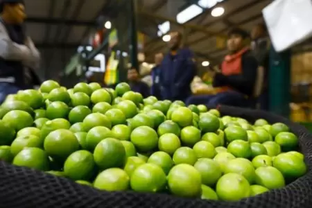 Precio del limn se estabilizara en octubre.