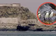 Construccin del penal 'El Frontn' amenaza a especies en peligro de extincin, advierte biloga marina