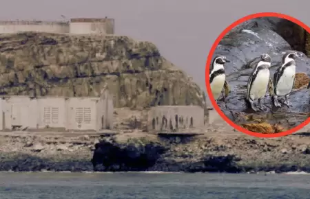 Penal 'El Frontn' amenaza a especies en peligro de extincin