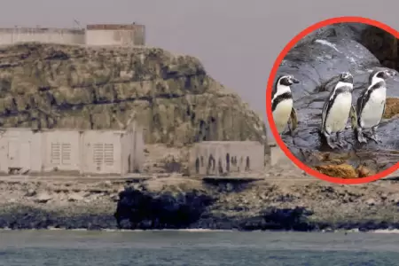 Penal 'El Frontn' amenaza a especies en peligro de extincin