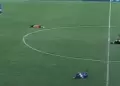 Abejas interrumpen partido de ftbol y obligan a suspender el encuentro