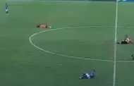 Abejas interrumpen partido de ftbol y obligan a suspender el encuentro