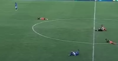 Abejas interrumpen partido de fútbol