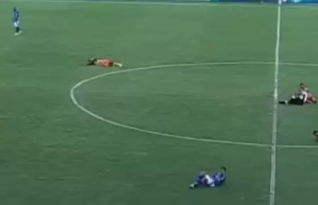 Abejas interrumpen partido de ftbol