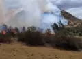 Extinguen tres incendios forestales Apurmac, Cajamarca y Madre de Dios: 30 hectreas de vegetacin fueron afectadas