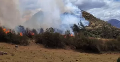 Extinguen tres incendios forestales.