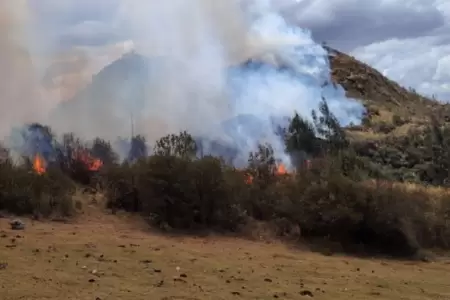 Extinguen tres incendios forestales.