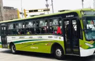 Buses de 'La 73A' no salen a la calle: Trabajadores de la empresa suspenden su servicio tras amenazas