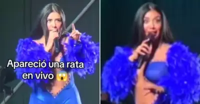 Kate Candela detiene su concierto por rata