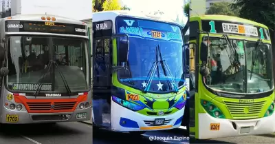 Empresas de transporte suspenden servicios
