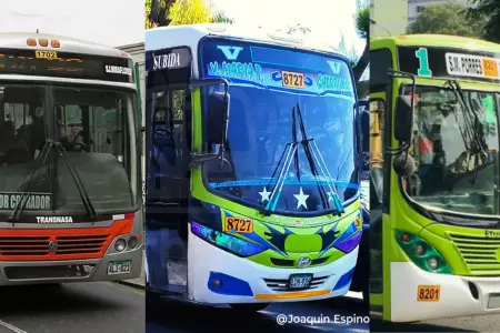 Empresas de transporte suspenden servicios
