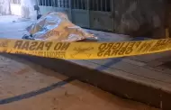San Martn de Porres: Hombre asesinado a pedradas en exteriores de mercado Las Mercedes