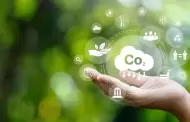 Movistar avanza en la reduccin de huella de carbono y renueva reconocimiento del Ministerio del Ambiente