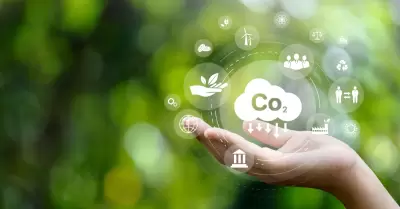 Movistar avanza en la reduccin de huella de carbono