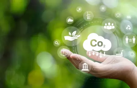 Movistar avanza en la reduccin de huella de carbono