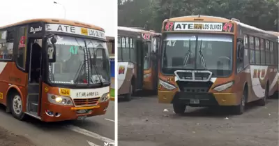 Buses de 'Sol de Oro' paralizan su servicio ante amenazas de extorsin