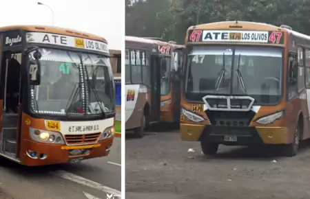 Buses de 'Sol de Oro' paralizan su servicio ante amenazas de extorsin