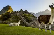 Machu Picchu se alista para un ao histrico con ms de 1.5 millones de turistas