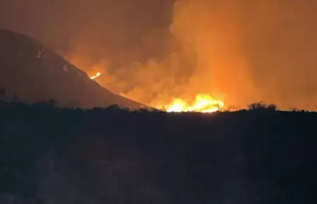 incendio forestal.