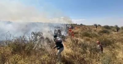 Extinguen incendio forestal en las faldas del volcán Misti.