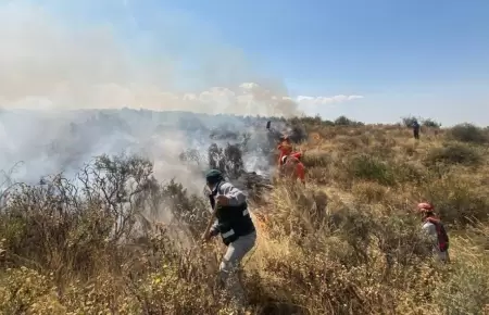 Extinguen incendio forestal en las faldas del volcn Misti.