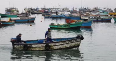 Establecen veda del pejerrey y del choro en el litoral.