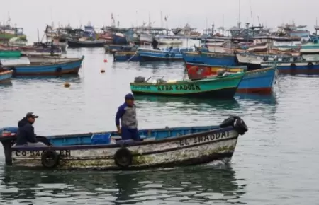Establecen veda del pejerrey y del choro en el litoral.