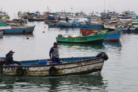 Establecen veda del pejerrey y del choro en el litoral.