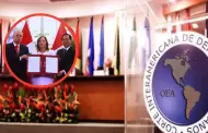 Ley de amnista: TC va a generar un problema al Per si la declara constitucional, seala experto